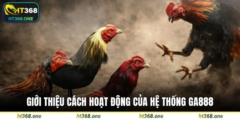 Giới thiệu cách hoạt động của hệ thống GA888