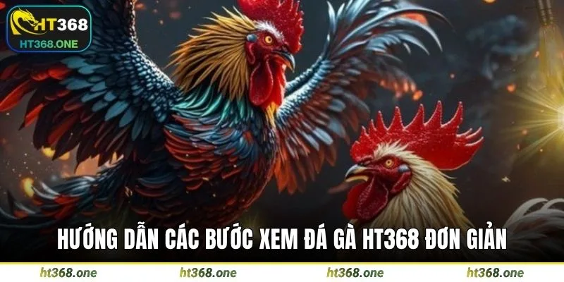 Hướng dẫn các bước xem đá gà HT368 đơn giản