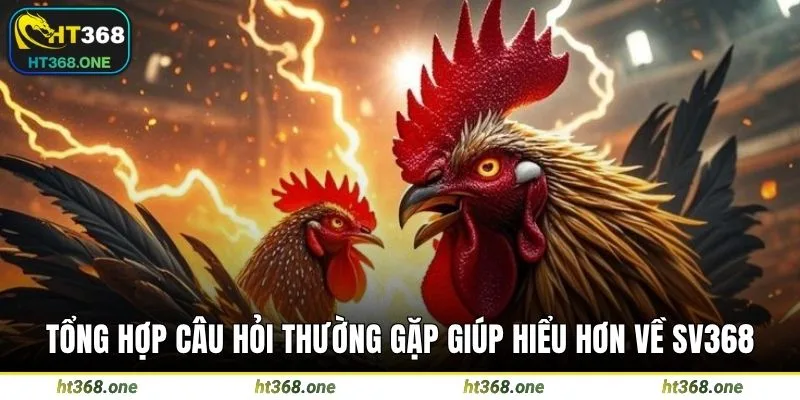 Tổng hợp câu hỏi thường gặp giúp hiểu hơn về SV368