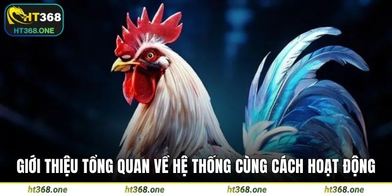 Giới thiệu tổng quan về hệ thống cùng cách hoạt động