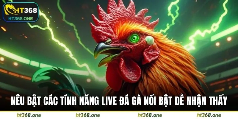 Nêu bật các tính năng live đá gà nổi bật dễ nhận thấy