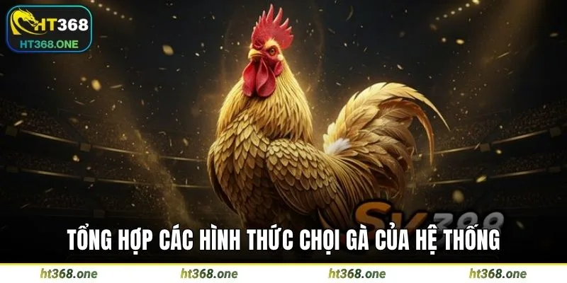 Tổng hợp các hình thức chọi gà của hệ thống