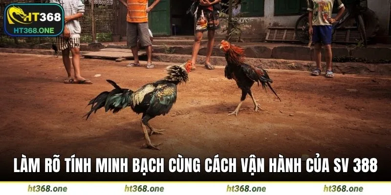 Làm rõ tính minh bạch cùng cách vận hành của SV 388