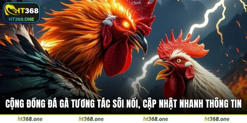 Cộng đồng đá gà tương tác sôi nổi, cập nhật nhanh thông tin