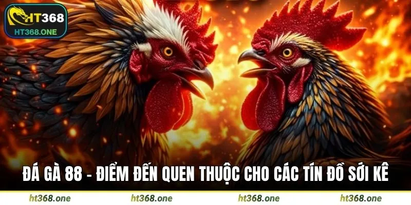 Đá gà 88