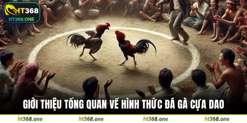 Giới thiệu tổng quan về hình thức đá gà cựa dao