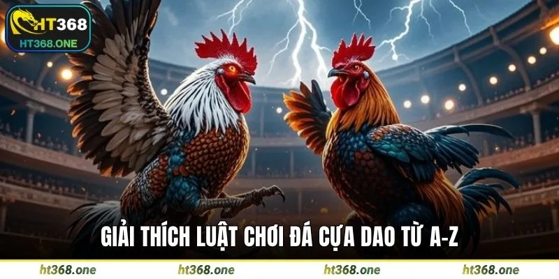 Giải thích luật chơi đá cựa dao từ A-Z