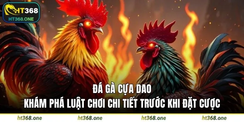 Đá gà cựa dao