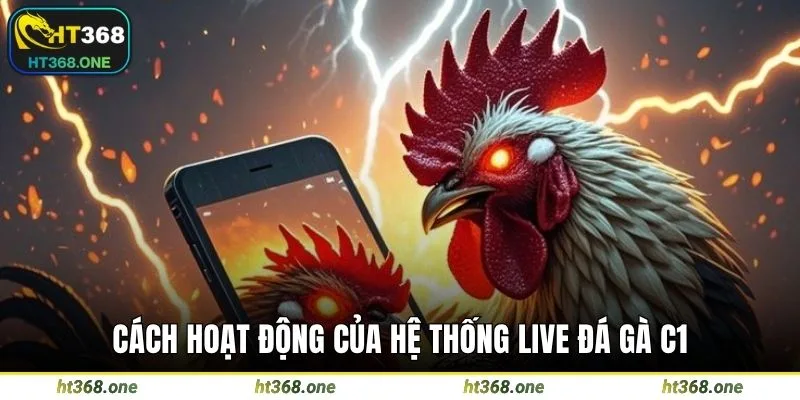 Cách hoạt động của hệ thống live đá gà C1