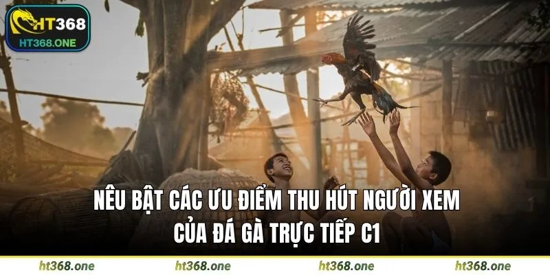 Nêu bật các ưu điểm thu hút người xem của đá gà trực tiếp c1