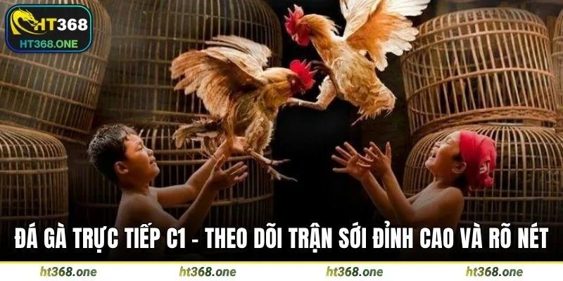 Đá gà trực tiếp c1