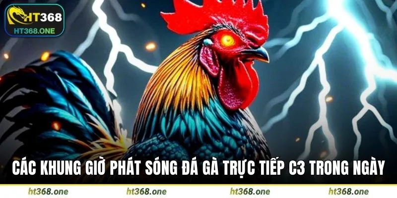 Các khung giờ phát sóng đá gà trực tiếp C3 trong ngày
