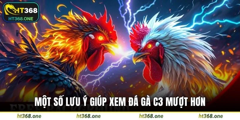 Một số lưu ý giúp xem đá gà C3 mượt hơn