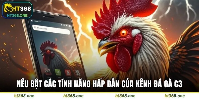 Nêu bật các tính năng hấp dẫn của kênh đá gà C3