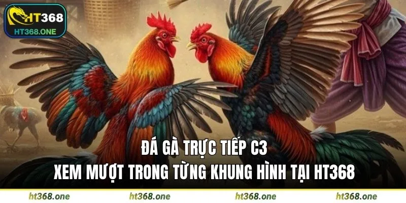 Đá gà trực tiếp C3
