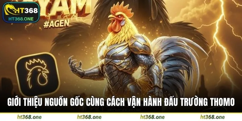 Giới thiệu nguồn gốc cùng cách vận hành đấu trường Thomo