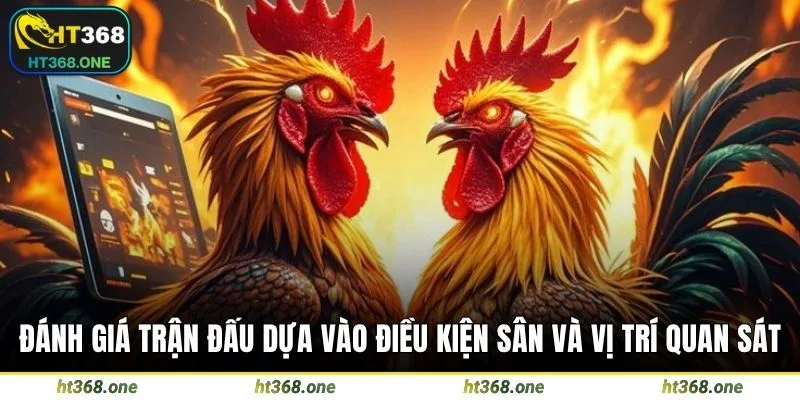 Đánh giá trận đấu dựa vào điều kiện sân và vị trí quan sát