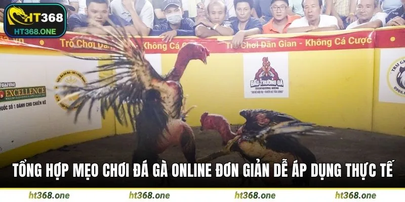 Tổng hợp mẹo chơi đá gà online đơn giản dễ áp dụng thực tế