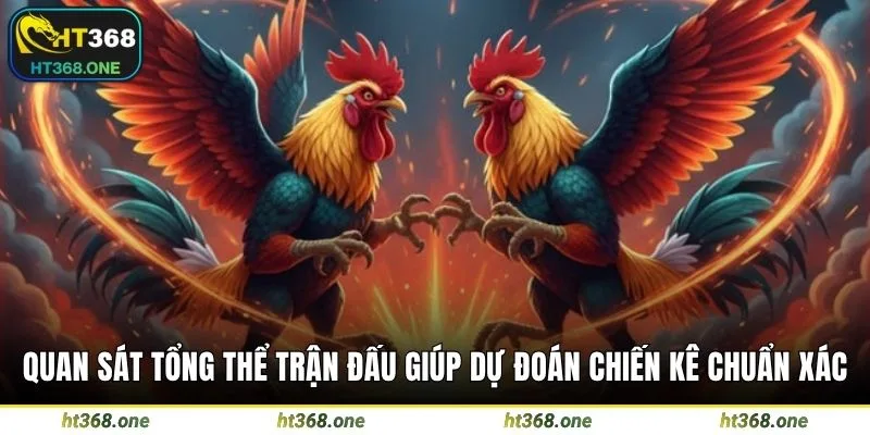 Quan sát tổng thể trận đấu giúp dự đoán chiến kê chuẩn xác