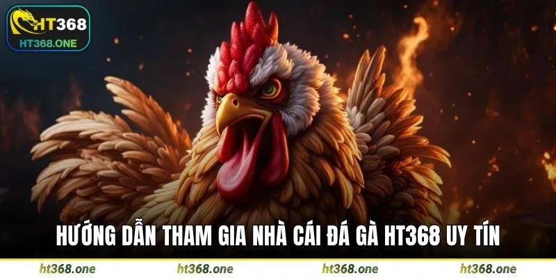 Hướng dẫn tham gia nhà cái đá gà HT368 uy tín