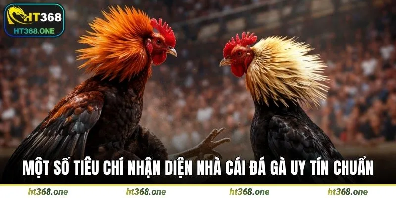 Một số tiêu chí nhận diện nhà cái đá gà uy tín chuẩn